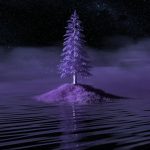 lone pine tree growing on island surrounded by water
