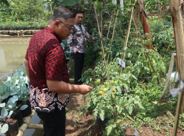 Ketahanan Pangan Kuningan Diuji Nataru, Produksi Hortikultura Jadi Penopang Utama