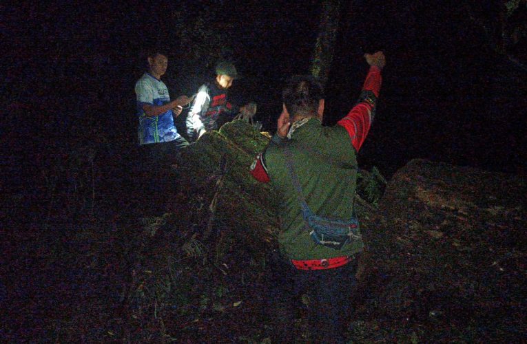 TNI Kuningan Amankan Sonokoling Hasil Pembalakan Liar