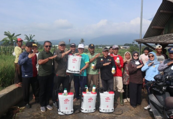 Petani Cikaso Bergerak Cegah Tungro, Upaya Menyelamatkan Panen Padi Sejak Dini