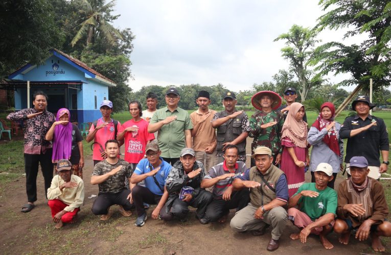 Diskatan Kuningan Bangun Ketahanan Padi Lewat Edukasi dan Aksi Pengendalian OPT