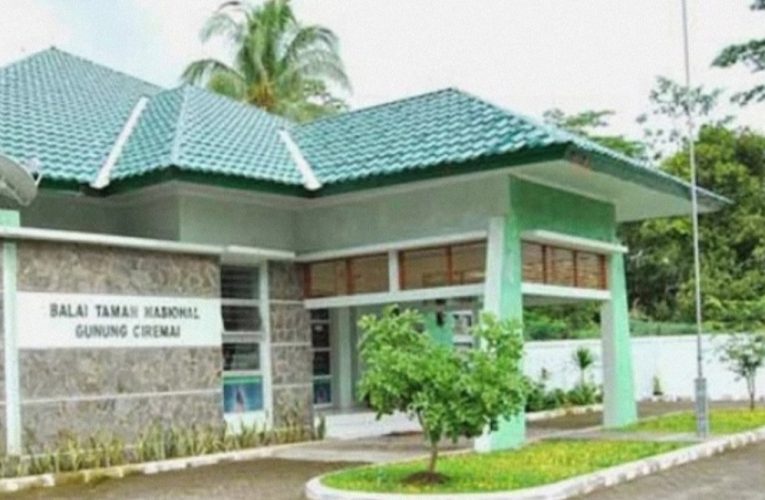 Soal Polemik KTH Dan Getah Pinus, BTNGC Jelaskan Begini