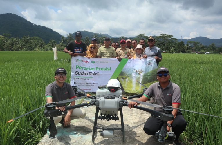 Respons Cepat Diskatan Lindungi Sawah Petani Windujanten dari Serangan Kresek