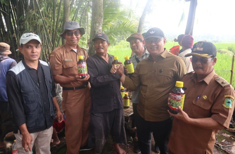 Ancaman Hama Meningkat, Petani Kuningan Lakukan Pengendalian Serentak
