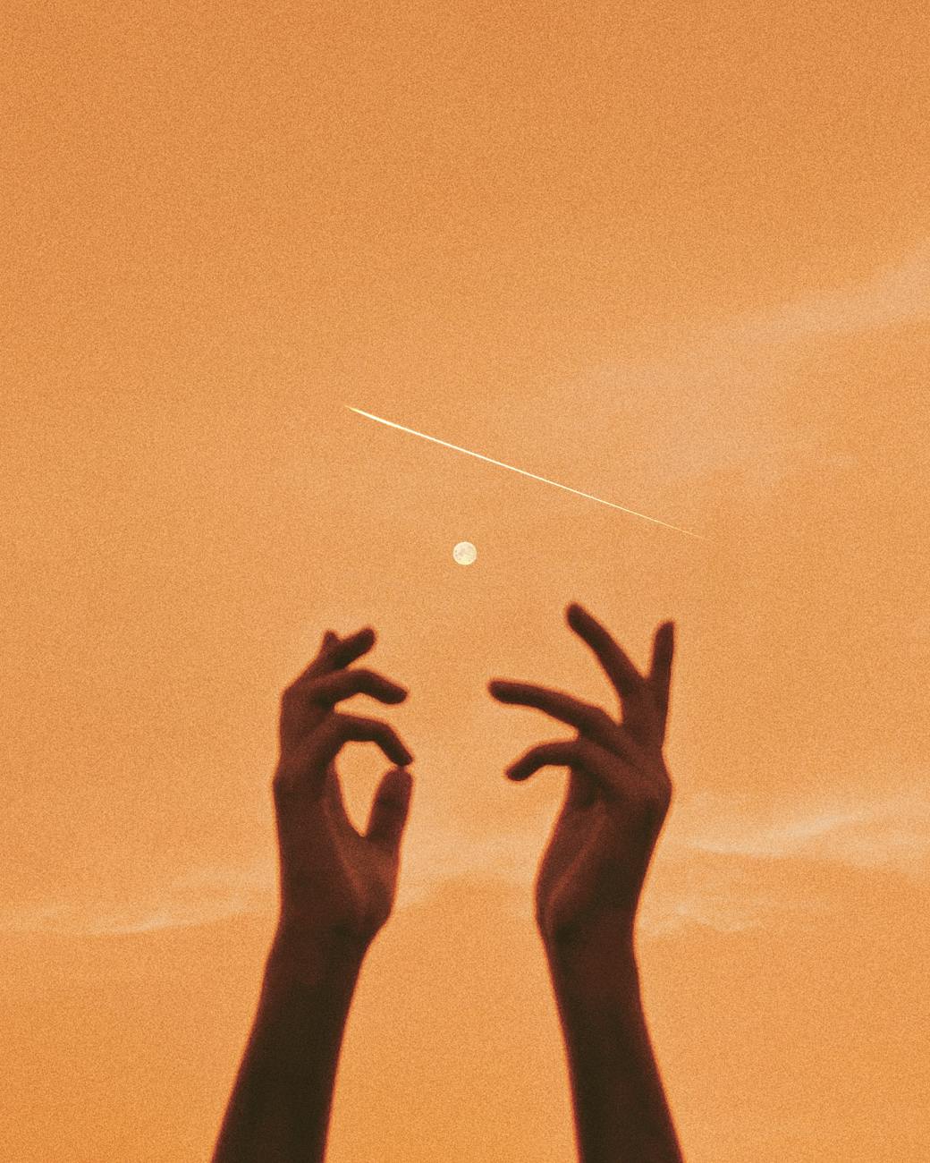 photo of persons hand