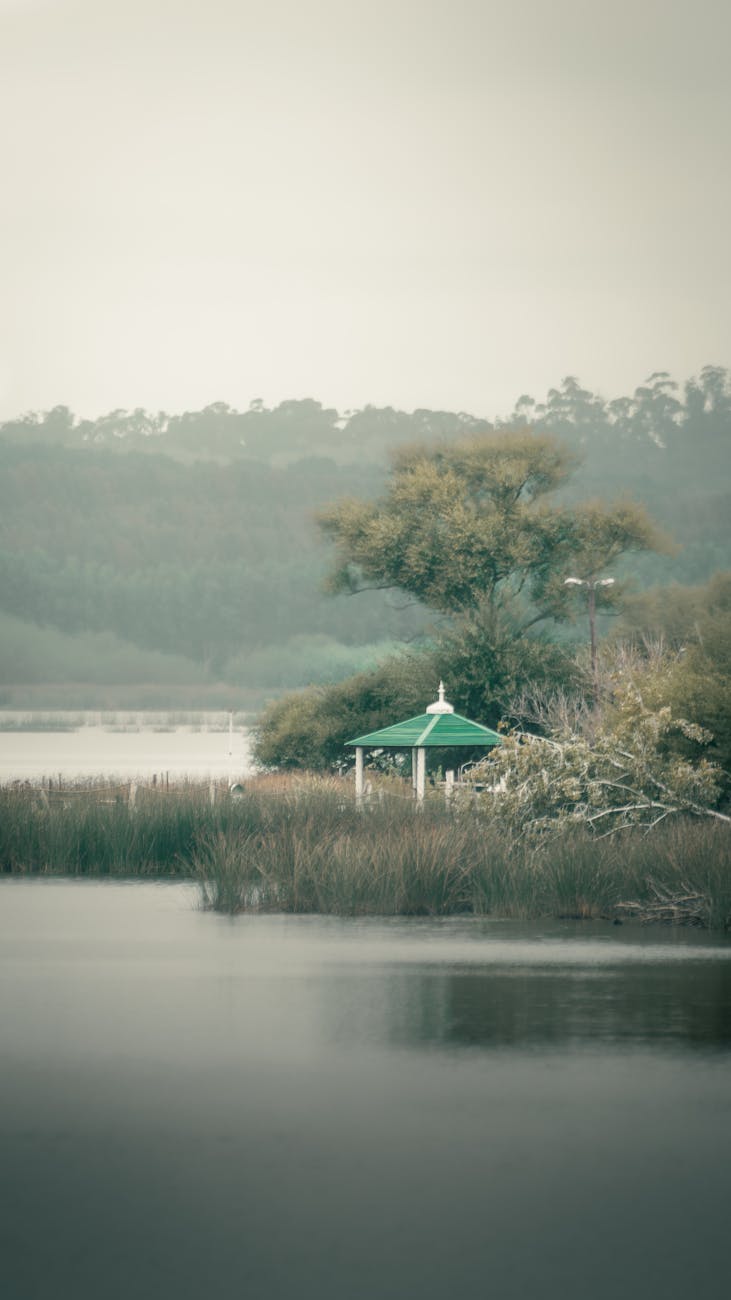 serene lakeside view in mar del plata