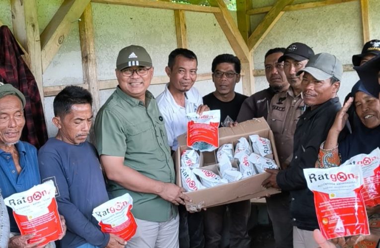 Bentengi Produksi Padi, Petani dan Pemkab Kuningan Serbu Sarang Tikus di Desa Bakom