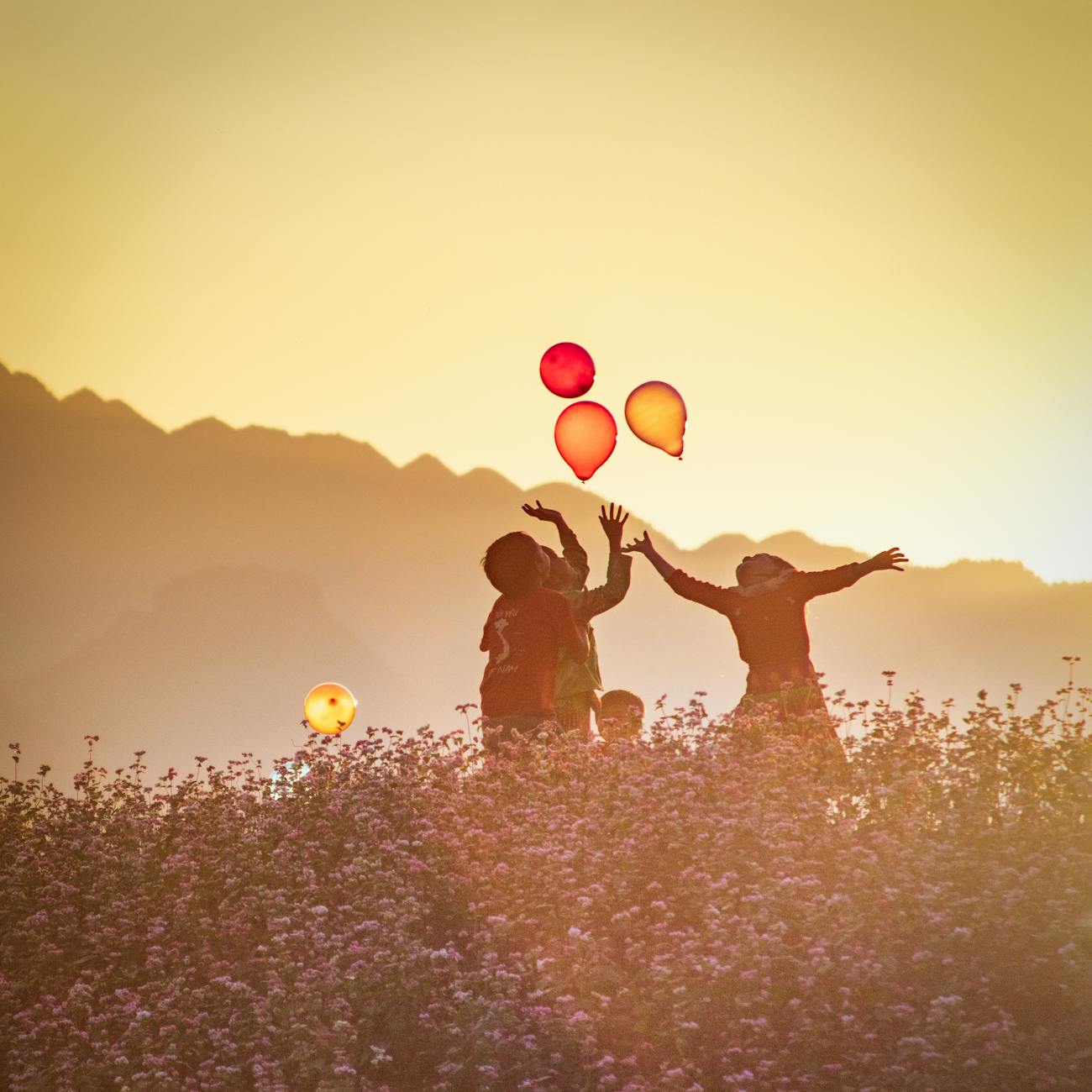 children playing with balloons on meadow at sunset