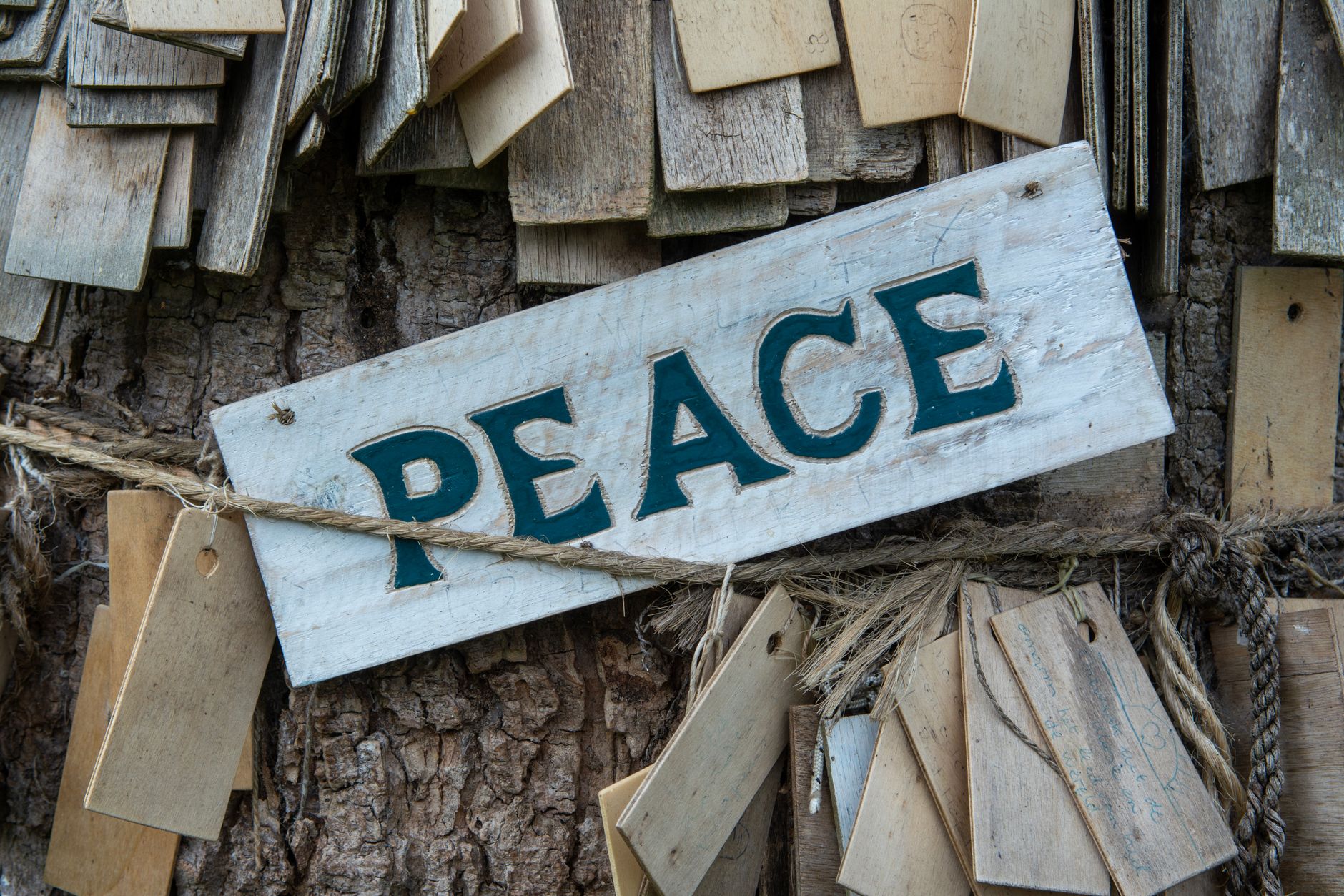 wooden board with script peace