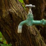 rusty outdoor water tap dripping by a tree